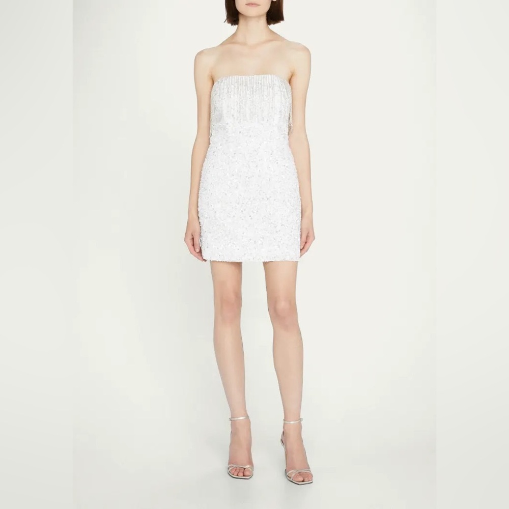 Retrofete Cassandra Sequin Fringe Dress NWT